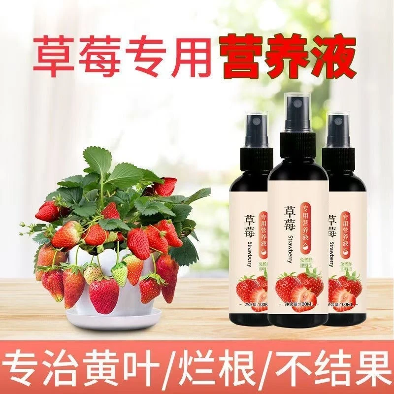 草莓专用营养液大果甜增产延长坐果期家用盆栽