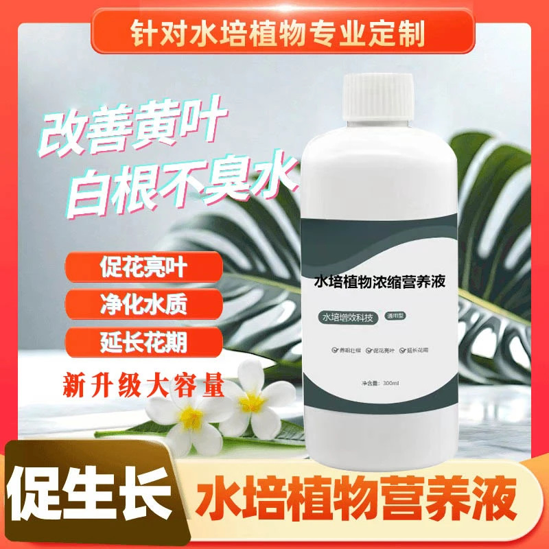 【水培通用】水培植物专用营养液观音竹富贵竹郁金香铜钱草通用型