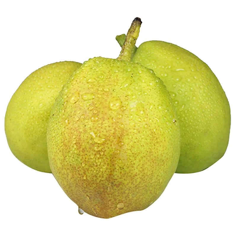 正宗新疆库尔勒香梨陕西新鲜当季水果味甜多汁皮薄肉厚爆汁23TM