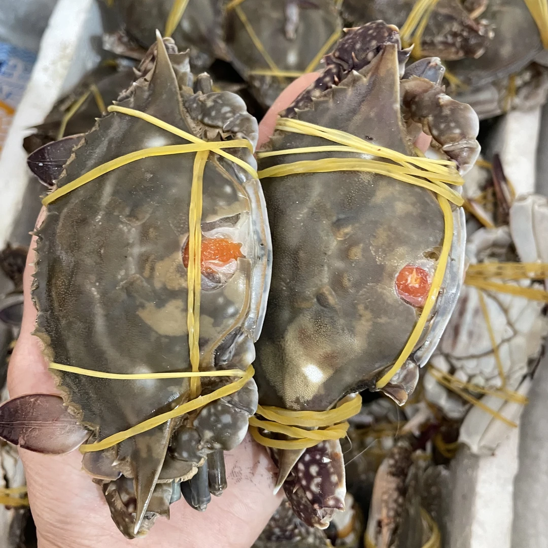 冻蟹 咸蟹子生腌 生吃（不可蒸煮） 顺丰发货