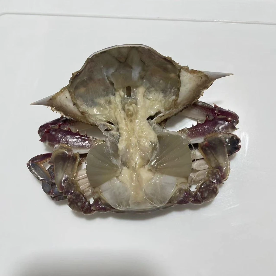 呛蟹 渤海湾一卤鲜咸螃蟹 咸蟹生吃 三斤起