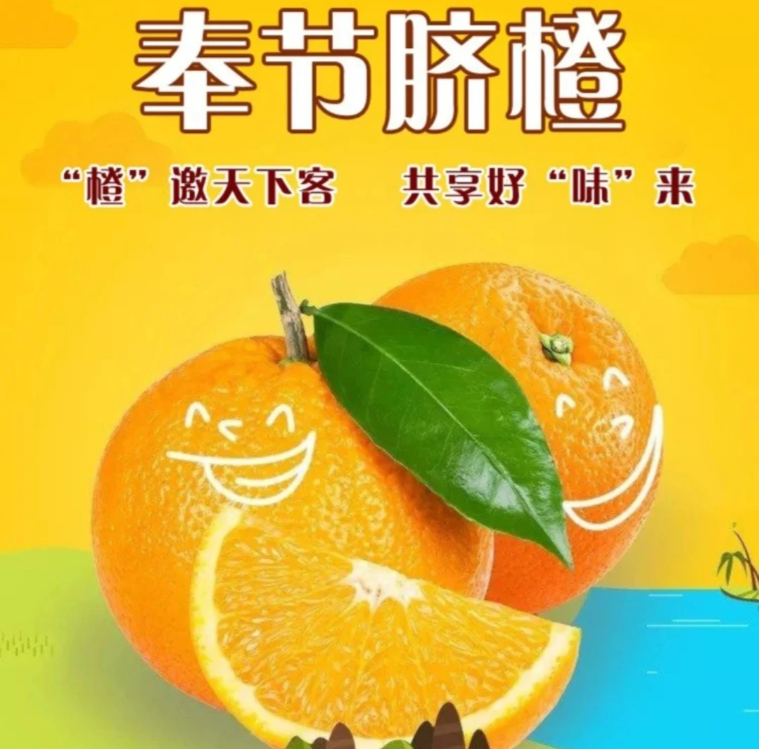 Fixch 正宗奉节脐橙 纽荷尔中果顺丰快递果园直发