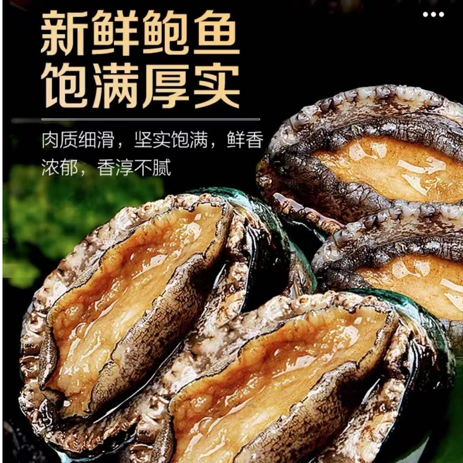 【顺丰发货】6-8头特大鲍鱼 长度6-7cm/只 东山岛深海活鲍液氮锁鲜