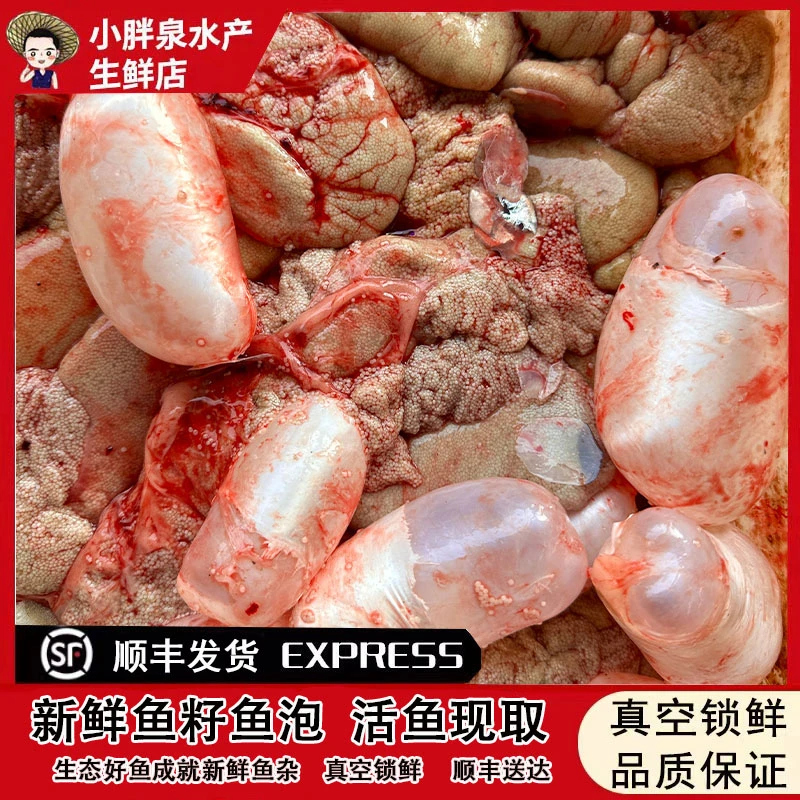 微山湖生态湖区鲜鱼鲤鱼鱼杂新鲜鱼籽鱼泡鱼白鱼肠鱼宝顺丰发货