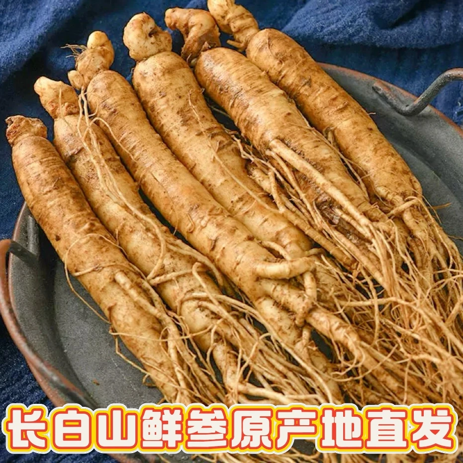 长白山鲜人参  中号  一斤 煲汤泡酒