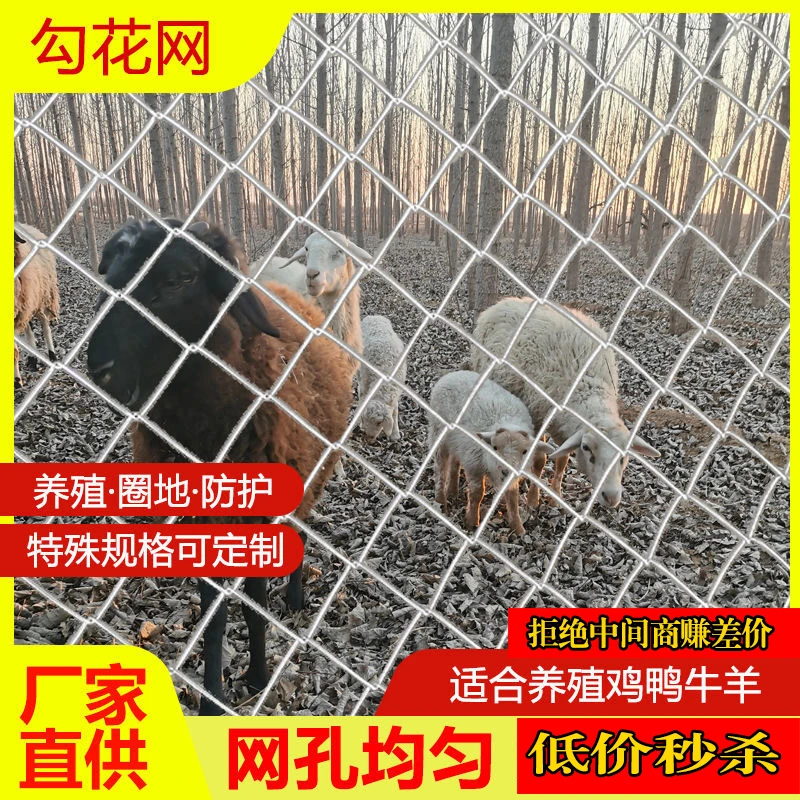 热镀锌铁丝网围栏果园养殖防护网养鸡养狗不生锈勾花网护栏隔离网
