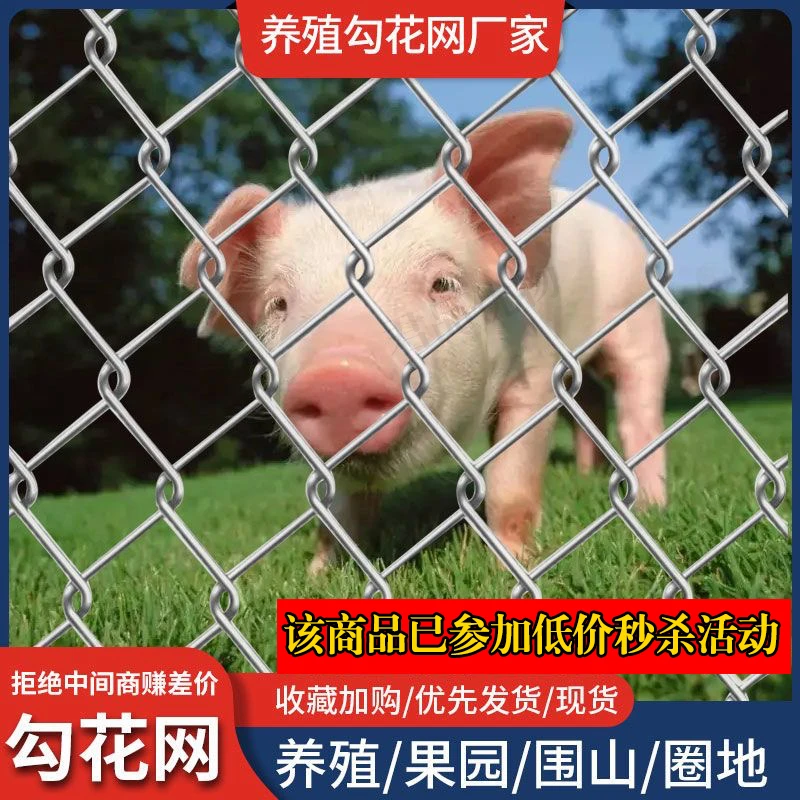 热镀锌铁丝网围栏果园养殖防护钢丝网养鸡养狗不生锈勾花网格栏网