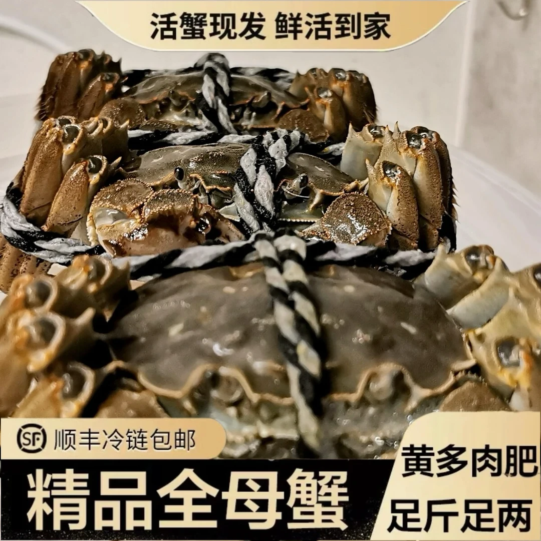 【活蟹现发】鲜活全母蟹2.5两拍8只送2只 【顺丰包邮】