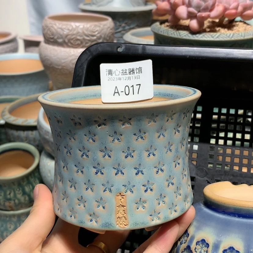 【闪购商品】瓷12-13-017口径8.5