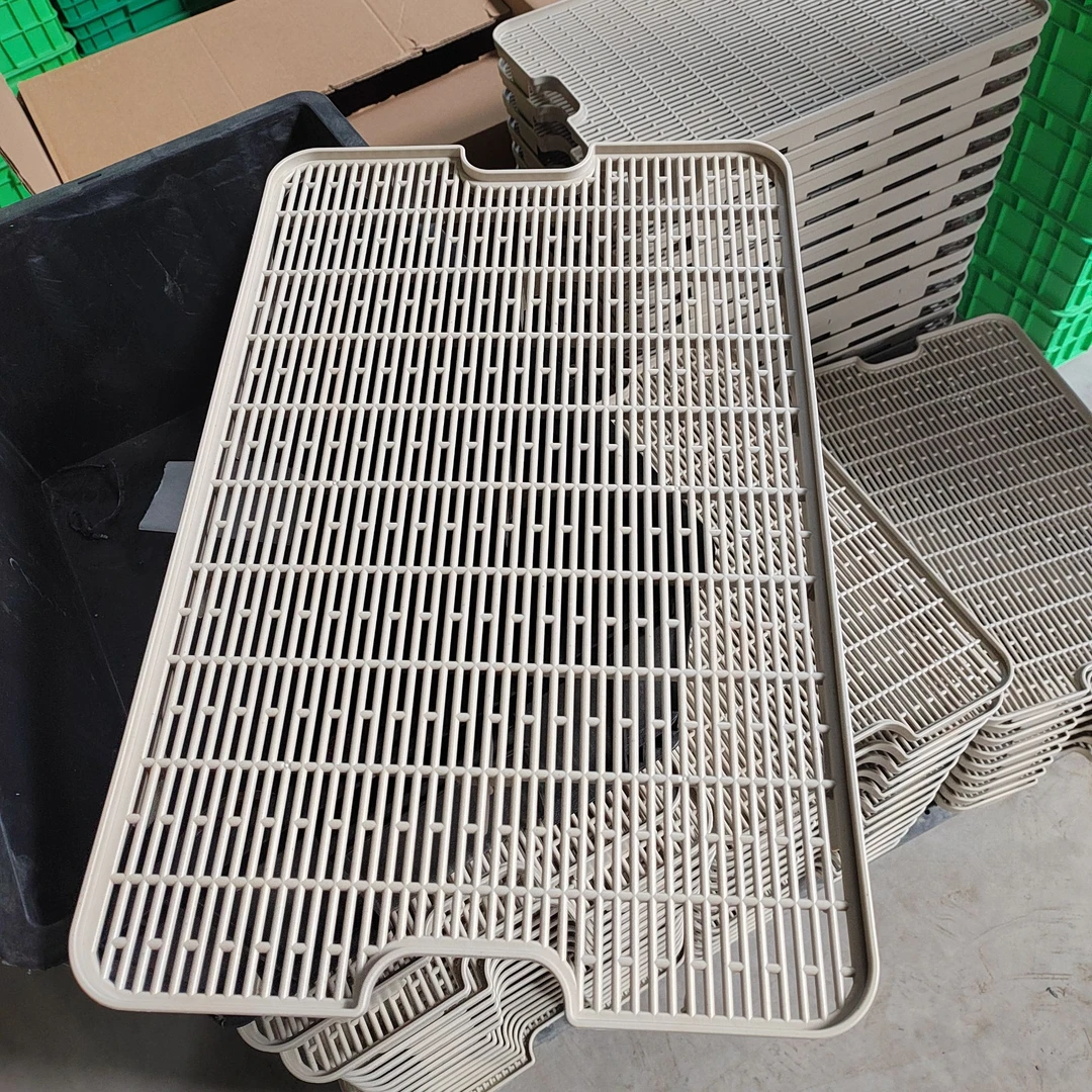 花生芽撒播水培箱