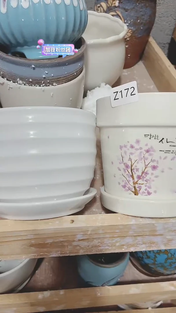 【闪购商品】陶瓷20CM以下@@Z172