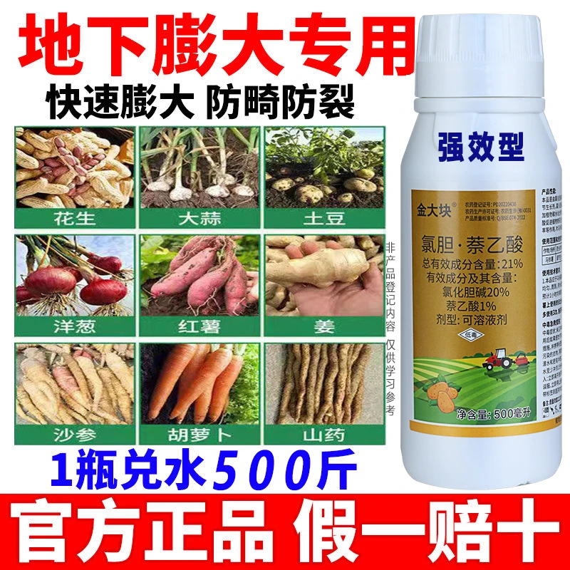 氯胆萘乙酸大蒜葱姜红马铃薯调节生长增产促进地下根茎块茎膨大剂