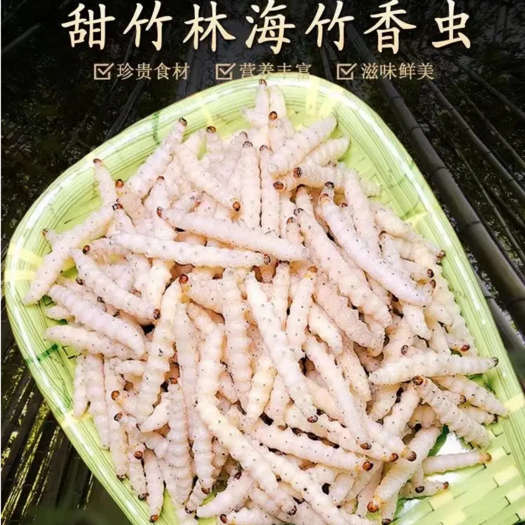 野生竹蛹——大自然馈赠的独特美味，竹海臻品