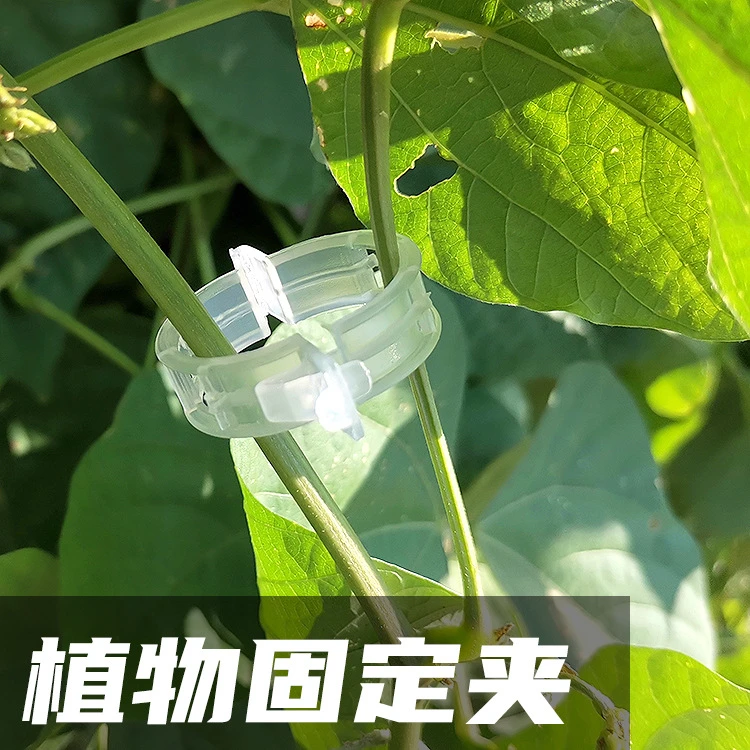 【工厂直发】园艺植物固定夹 绑蔓夹 吊蔓器绿植 花卉秧苗夹