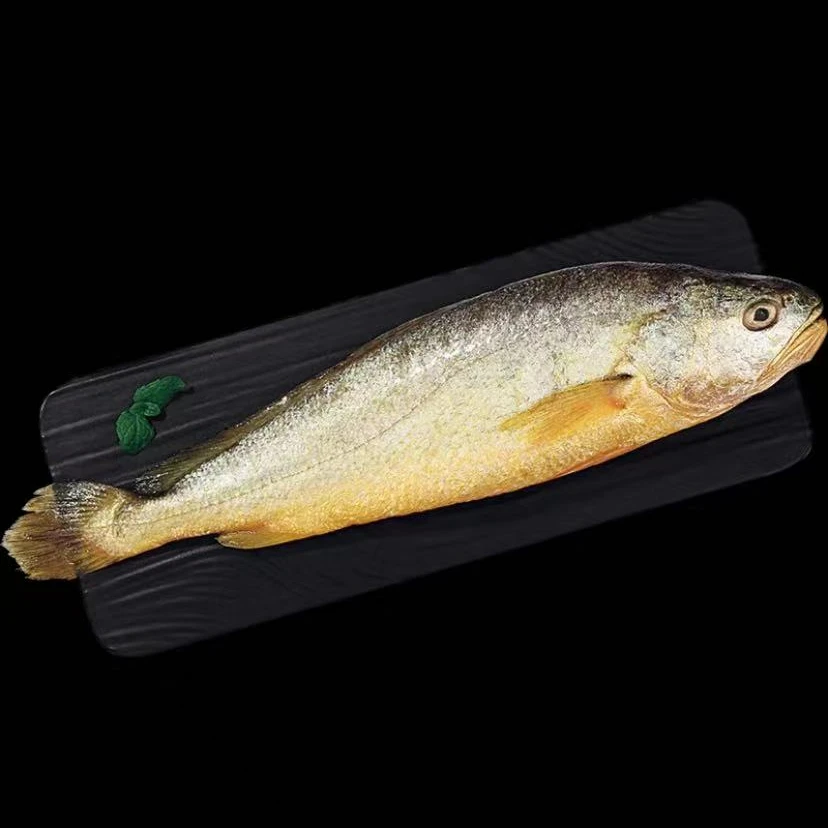 【牛弟】生态野化深海黄花鱼 700-750g左右一条 共3条 鲜鱼速冻发货