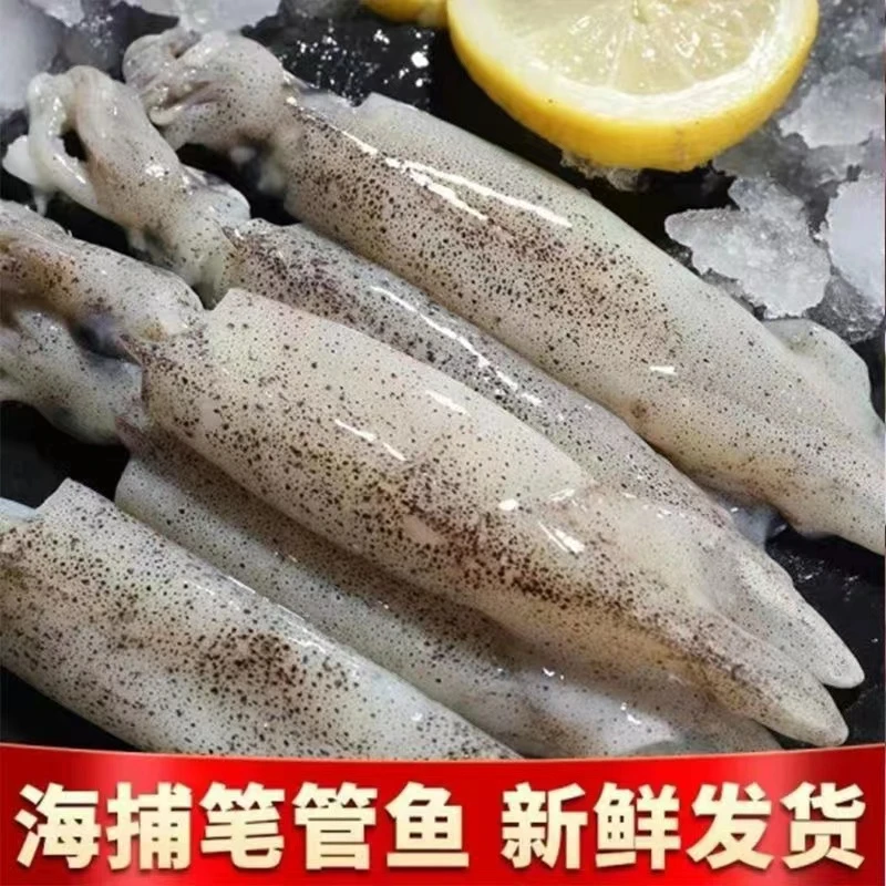 【1】新鲜野生大海兔/笔管鱼4斤（10-12条一斤）共4包 鲜货速冻锁鲜