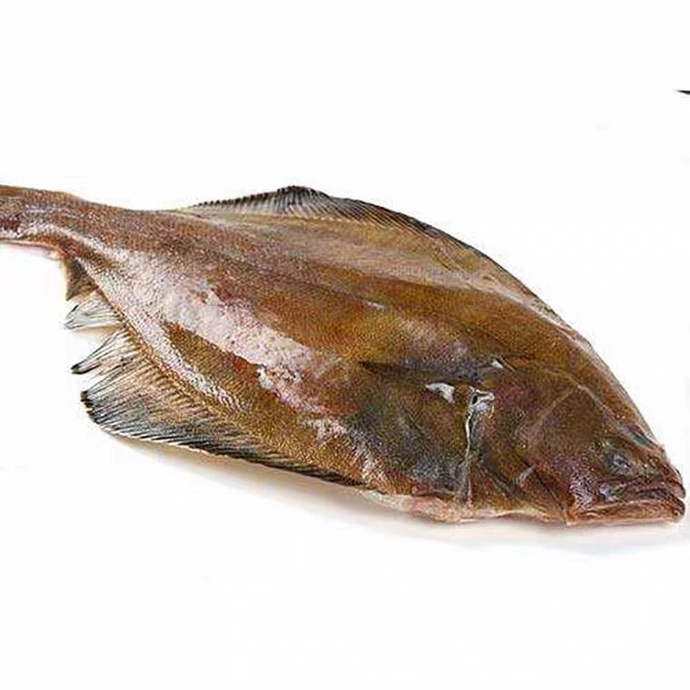 青岛新鲜特大号偏口鱼，每条1斤左右  鲜鱼速冻顺丰包邮