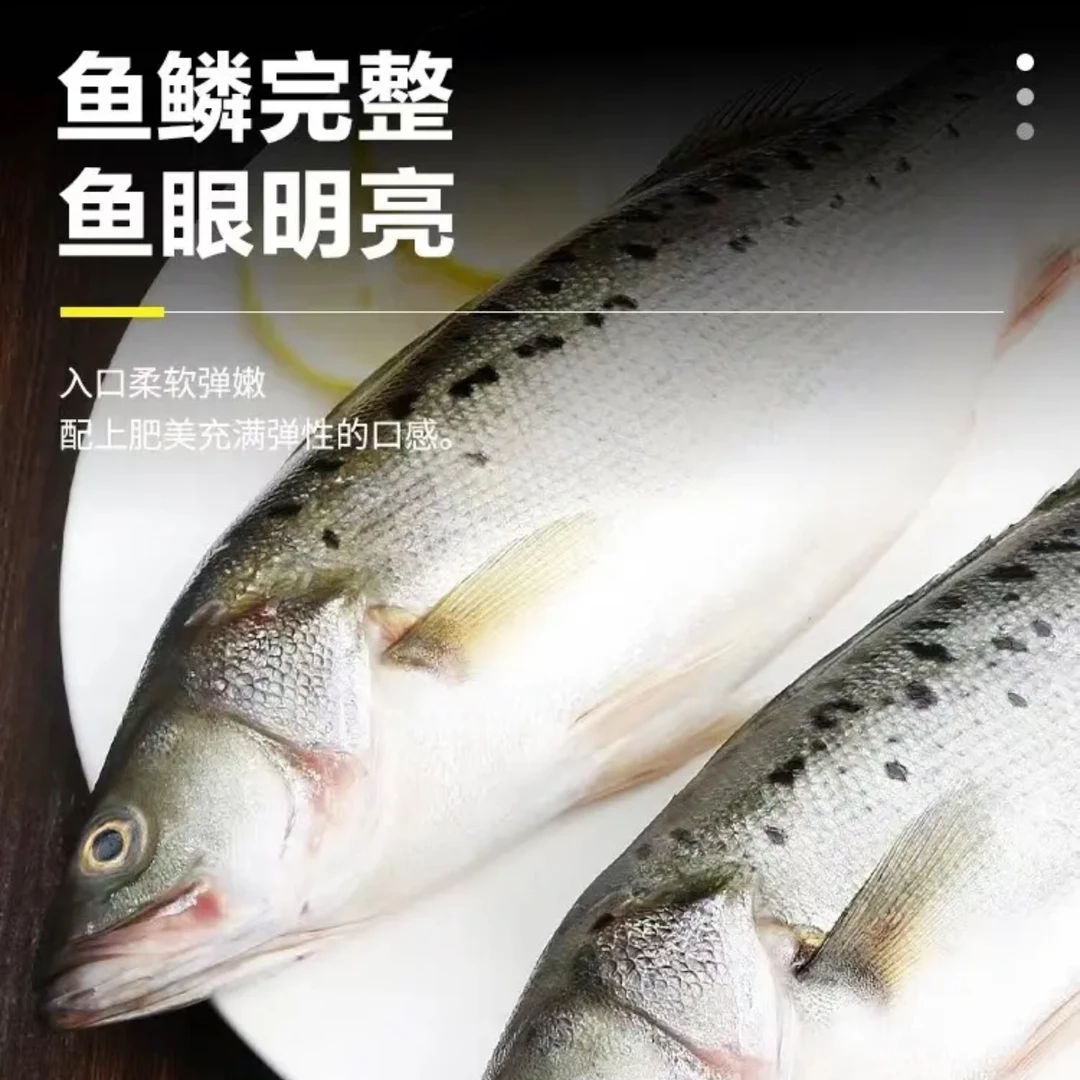 青岛野生海鲈鱼（5-8两每条）鲜鱼速冻锁鲜发顺丰 到手5斤
