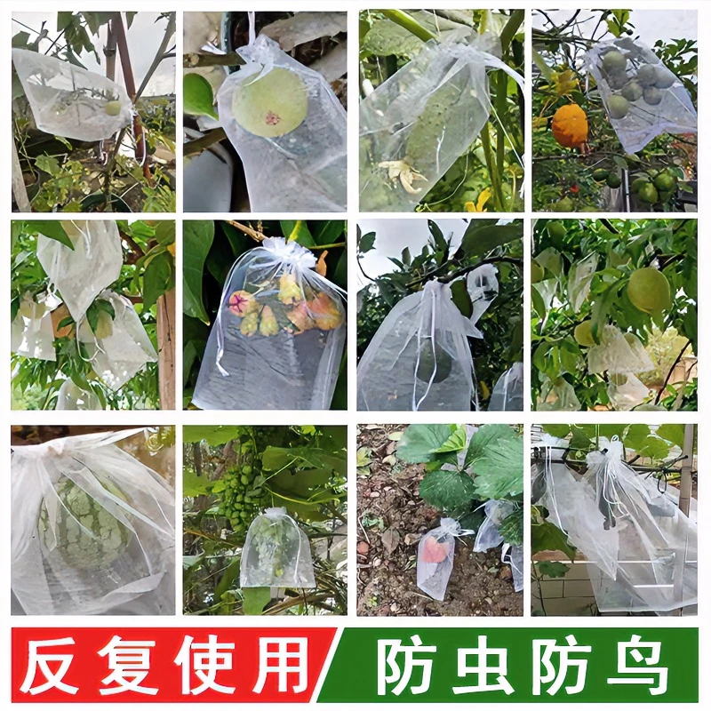 多种套袋防鸟防虫专用网袋葡萄无花果桃子芒果苹果袋草莓保护袋子