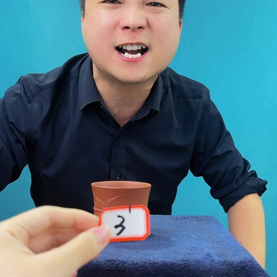 【闪购商品】紫砂茶壶