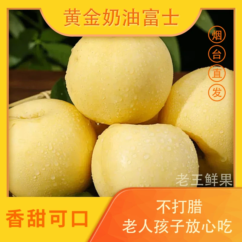 1烟台奶油富士苹果重量4.5斤/9斤山区原生态新鲜自然营养严选脆甜