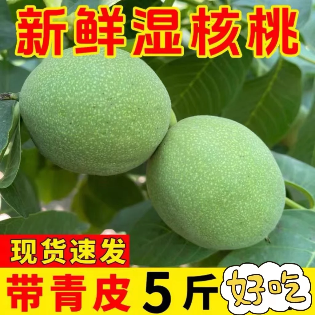 【满5斤包邮】陕西秦岭山带青皮薄皮核桃嫩核桃1份是1斤5斤带小刀