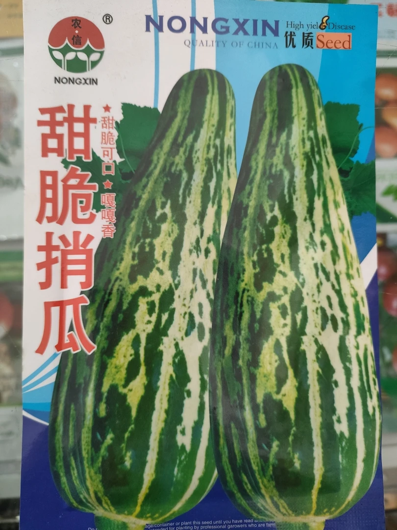 甜脆稍瓜种子脆甜好吃