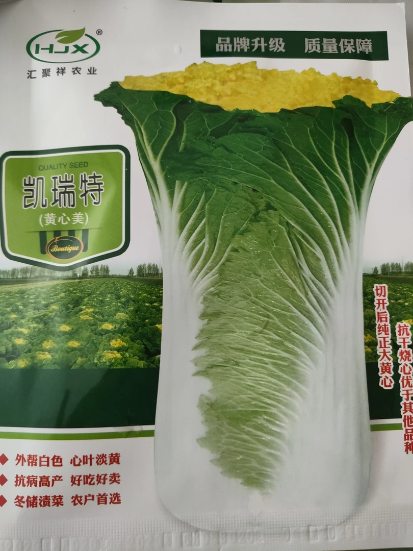 凯瑞特黄心美白菜籽