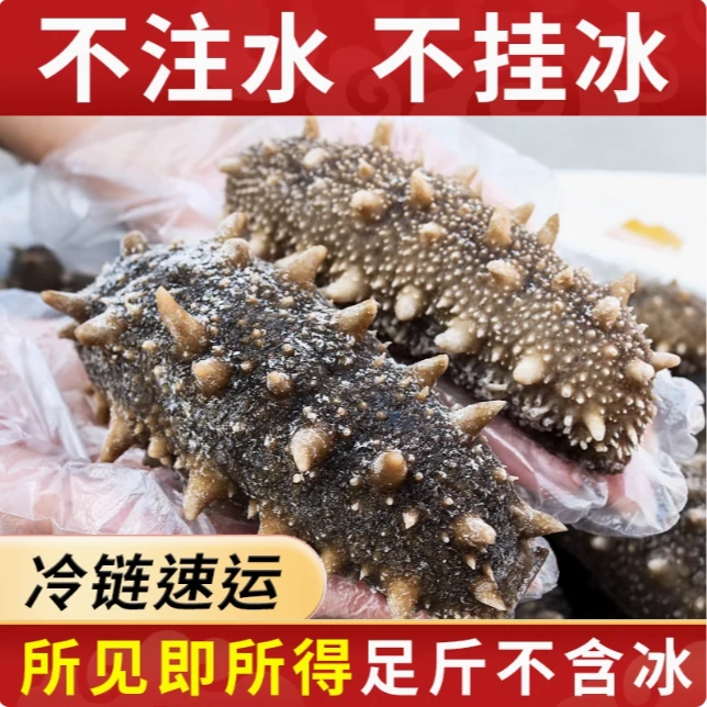 大个6年大连海参即食鲜食海参一斤独立包装8-10头送刀叉