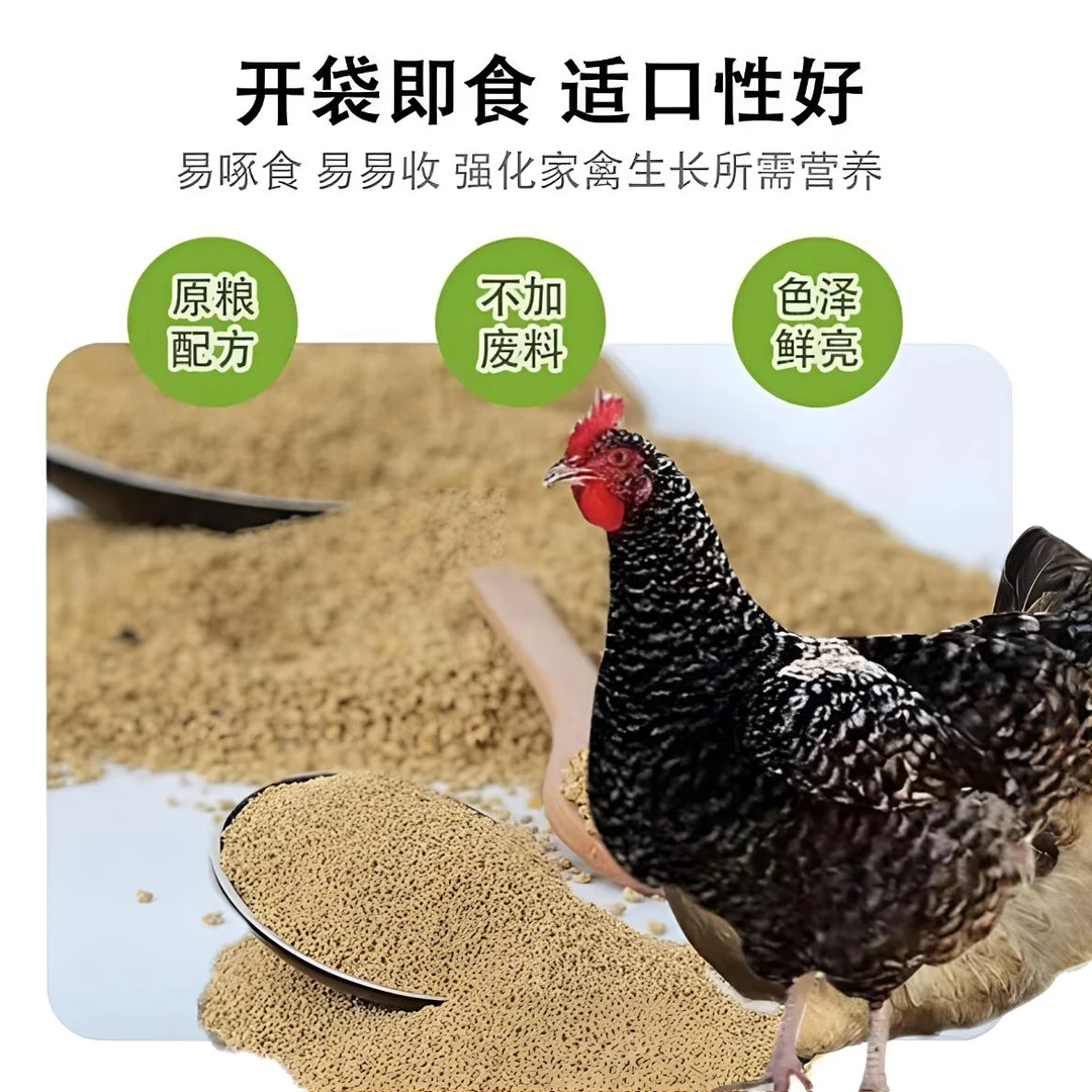 使用芦花鸡开口饲料健康饲养长势快好喂养厂家直销