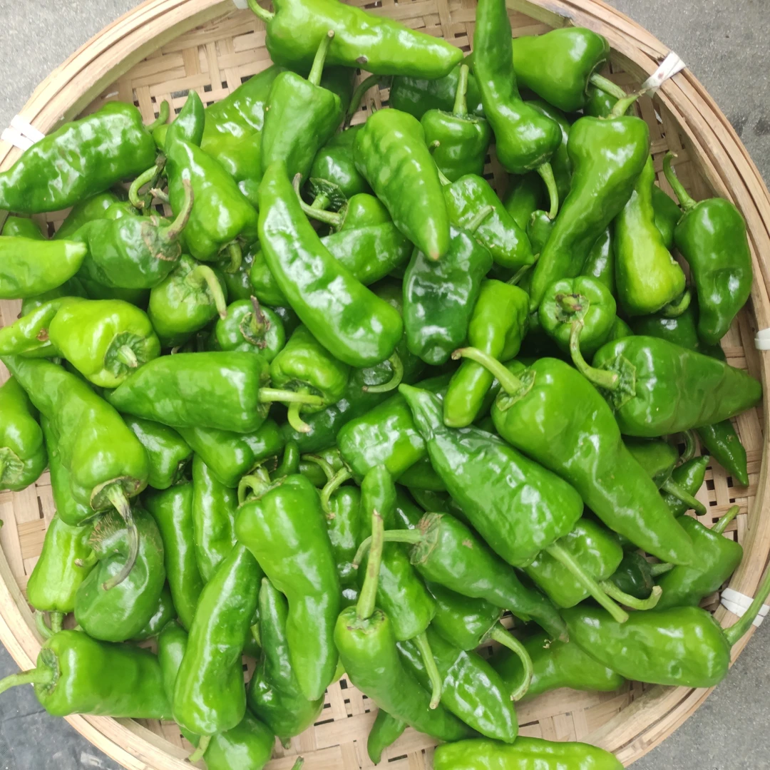 【代买山货】农户自销绿辣椒