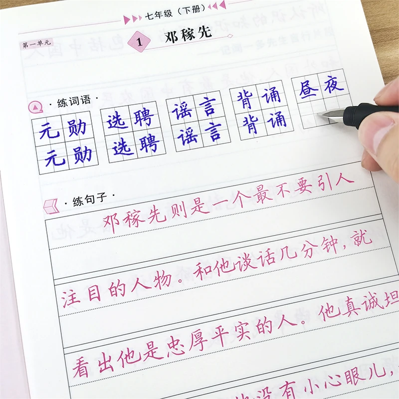 田英章初中生7七年级下册语文同步硬笔楷书临摹钢笔练字本人教版