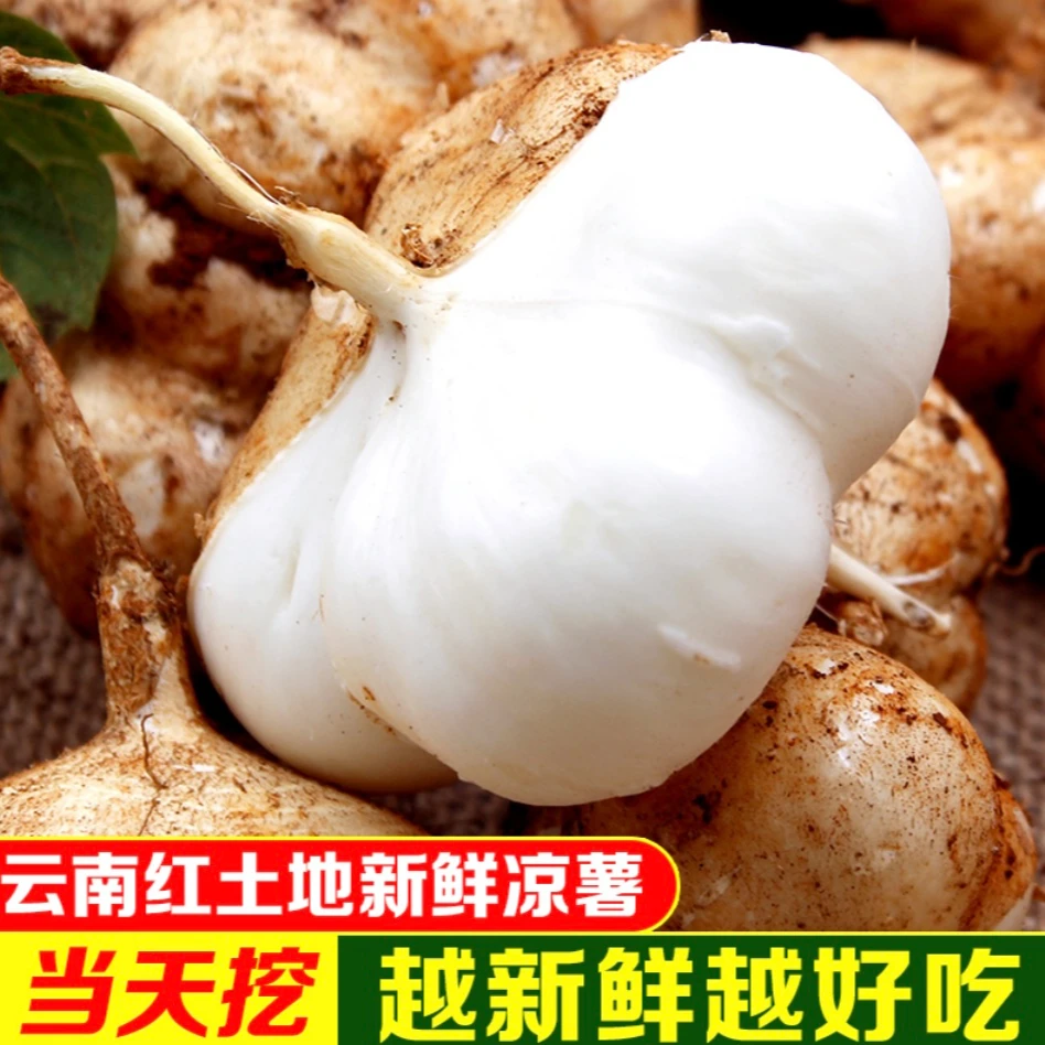 云南特产黄土地沙壤甜土瓜