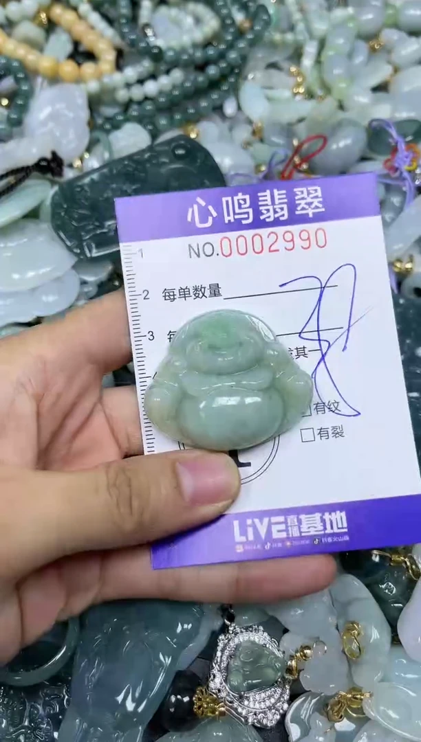 【闪购商品】翡翠颈饰未镶嵌闪购002990