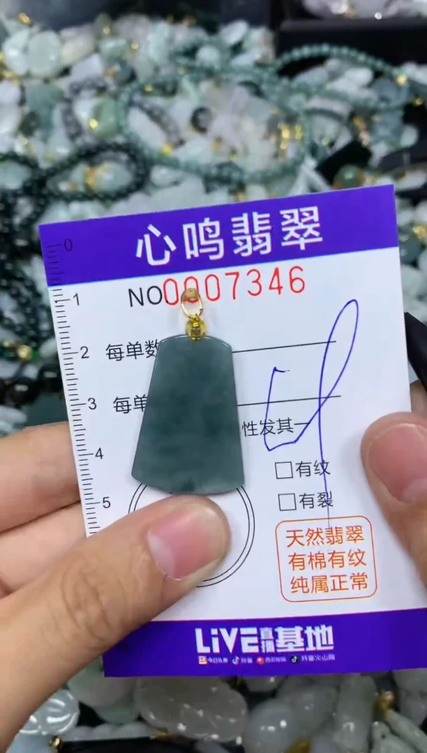 【闪购商品】翡翠颈饰未镶嵌闪购007346