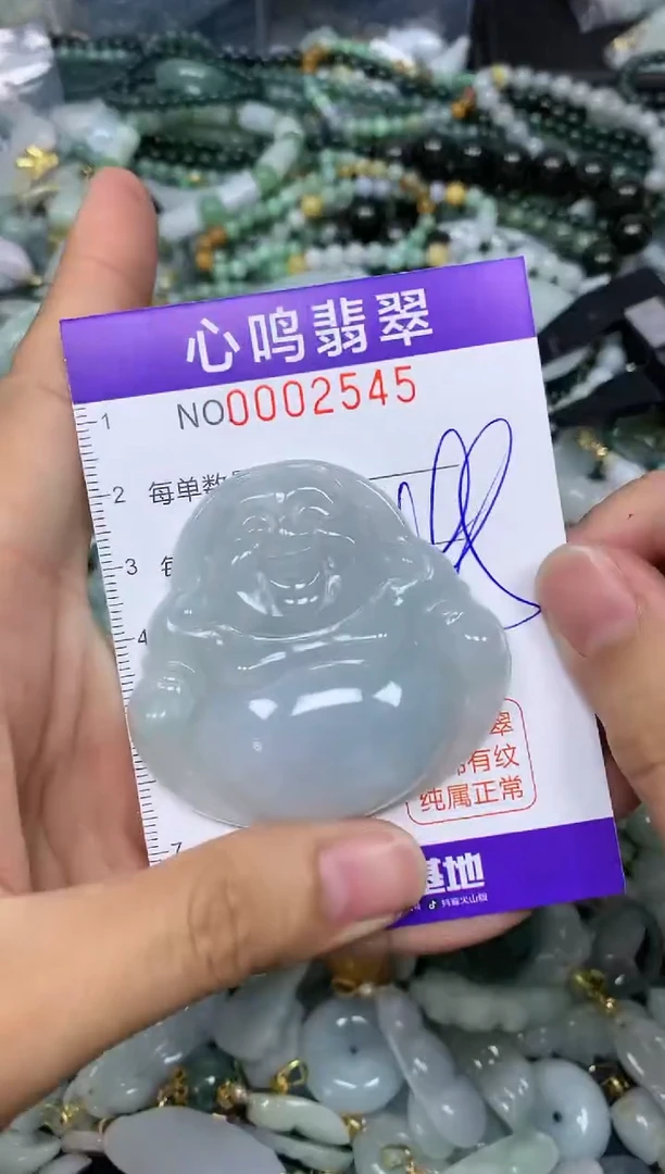 【闪购商品】翡翠颈饰未镶嵌闪购002545