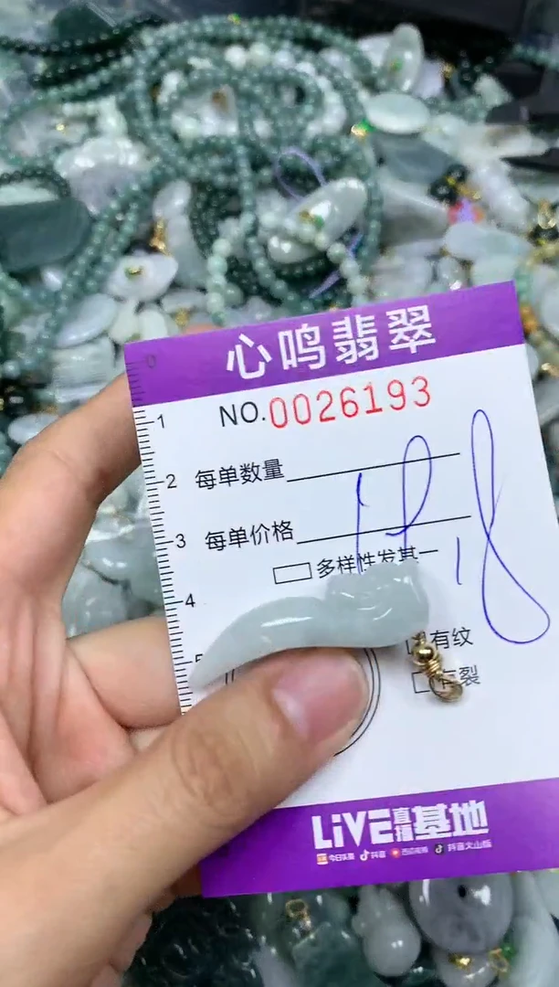【闪购商品】翡翠颈饰未镶嵌闪购0026193