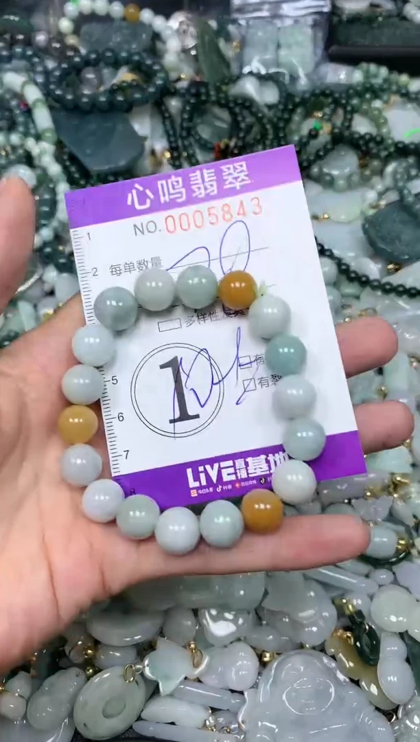 【闪购商品】翡翠颈饰未镶嵌闪购005843