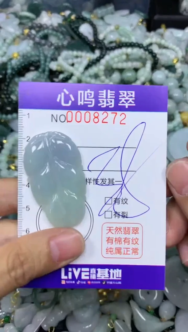 【闪购商品】翡翠颈饰未镶嵌闪购008272