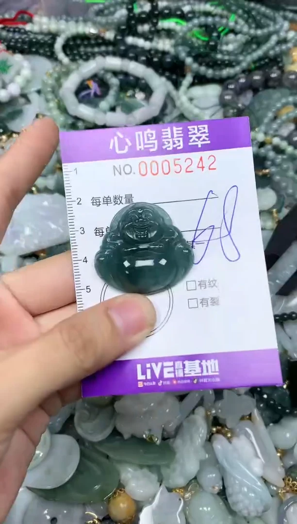 【闪购商品】翡翠颈饰未镶嵌闪购005242