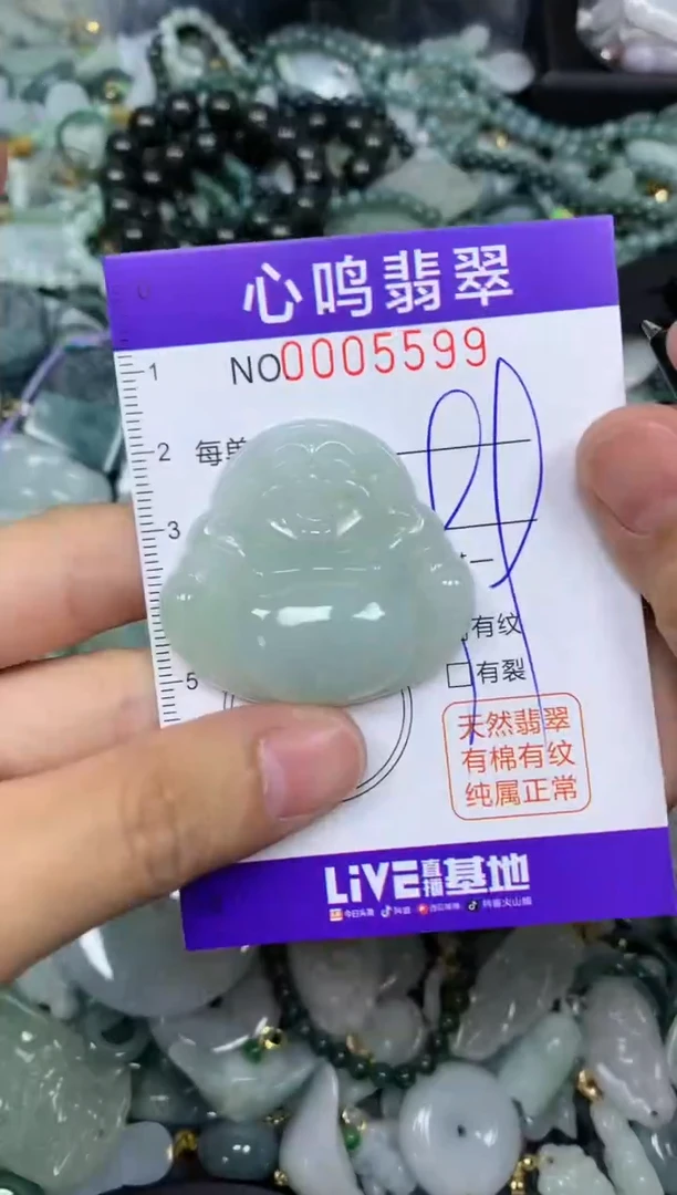 【闪购商品】翡翠颈饰未镶嵌闪购005599