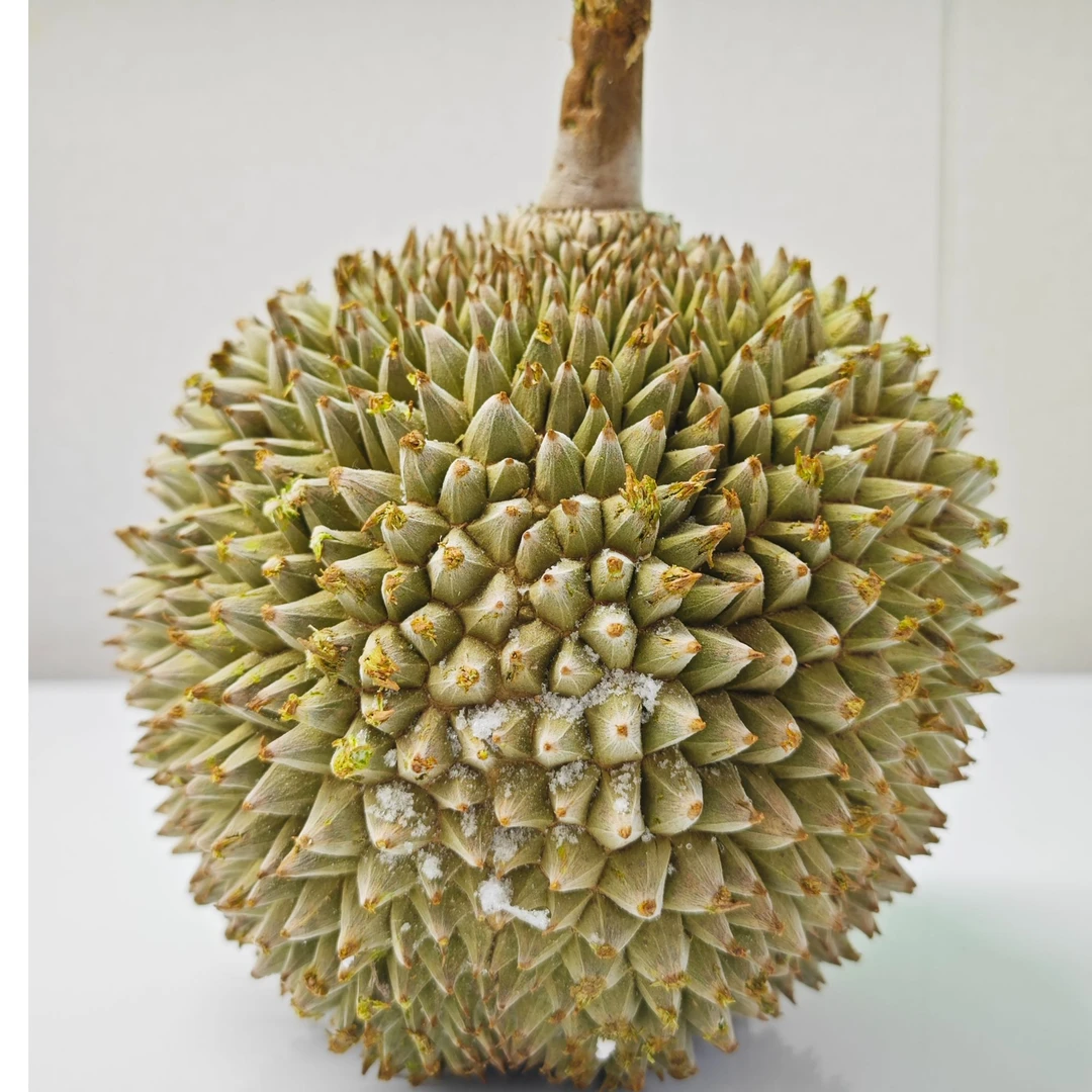 马来西亚 液氮榴莲 一物一拍 随时改价
