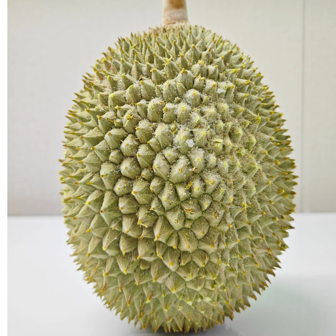 马来西亚 榴莲 一物一拍 随时改价