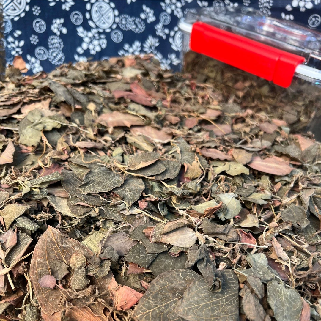 广东 金 线连 润康滋补 鱼胶/花胶 JXL