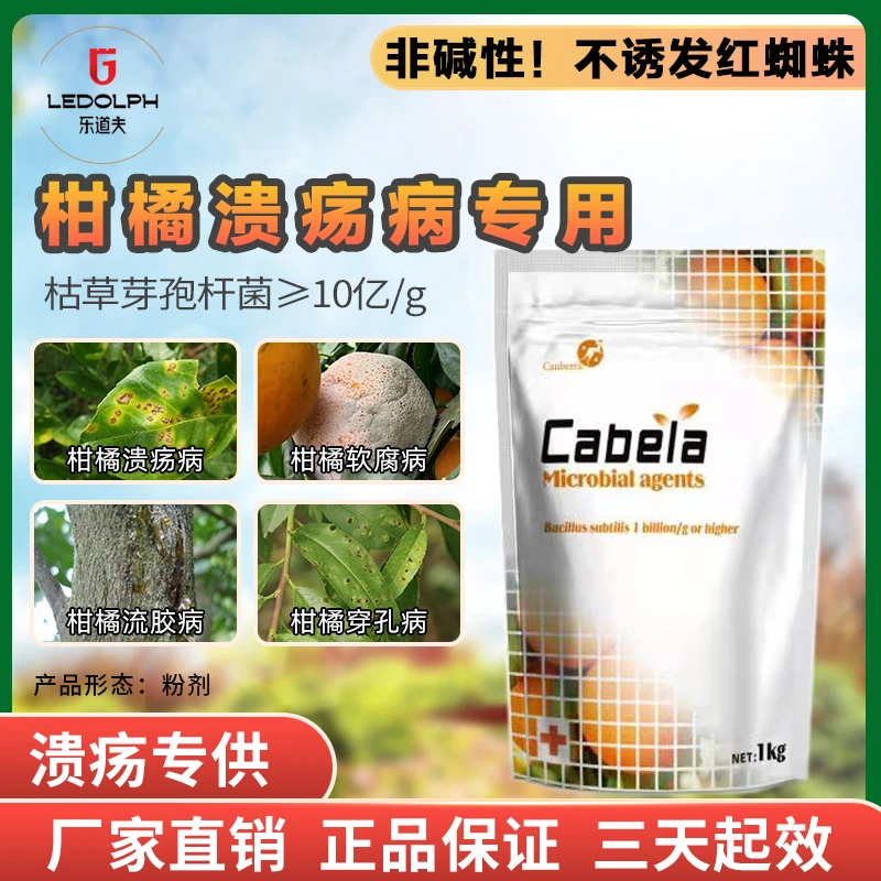 真溃独秀 柑橘穿孔溃疡病细菌病害软腐桃树流胶果树新型环保活性