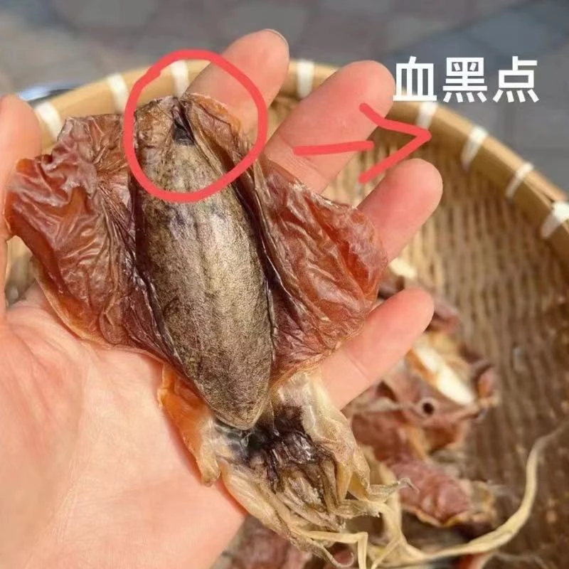 北海特产淡晒无盐正品稀有小血墨煲汤滋补