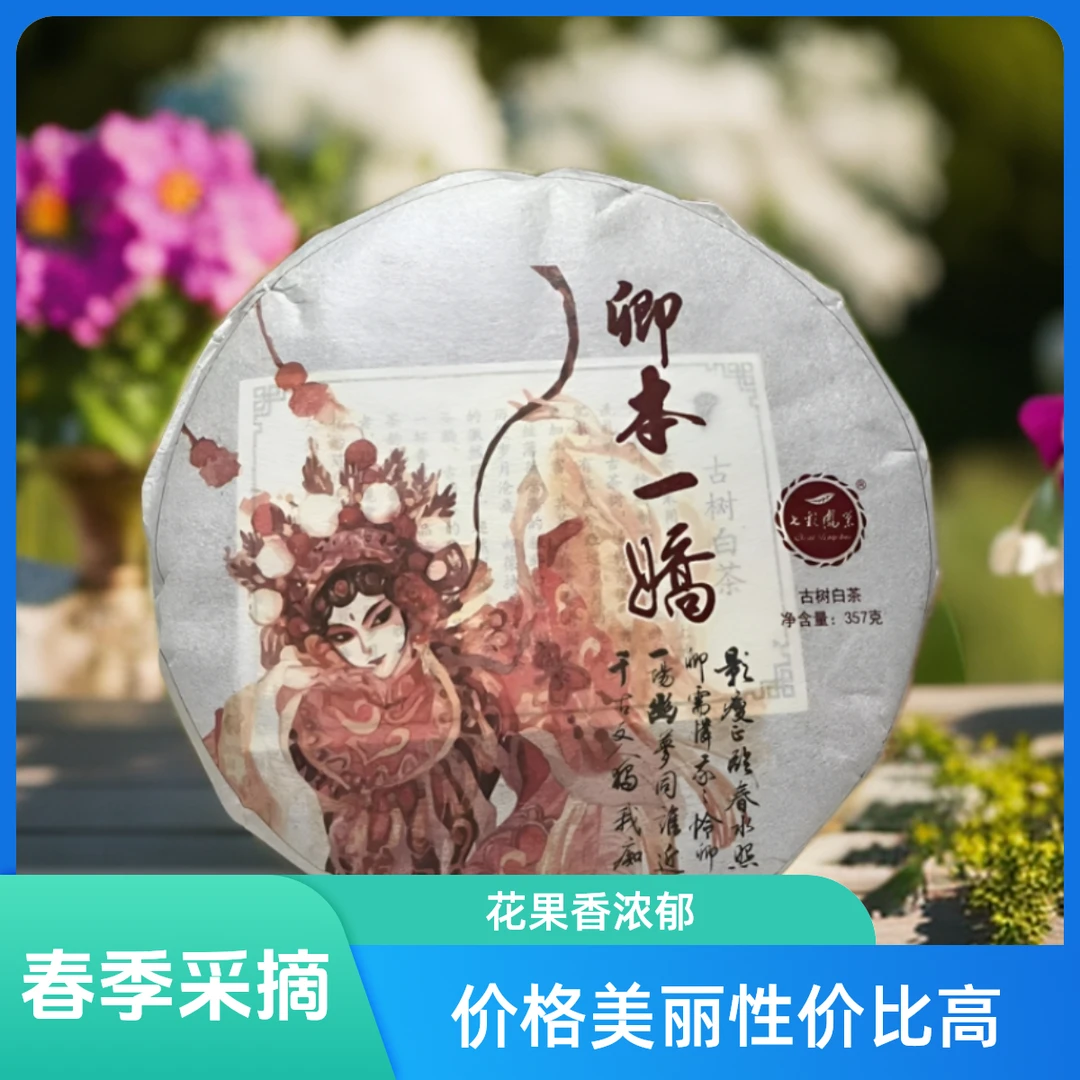 七彩凤巢2019年云南临沧勐库大雪山古树老白茶口感甘醇带花果蜜香