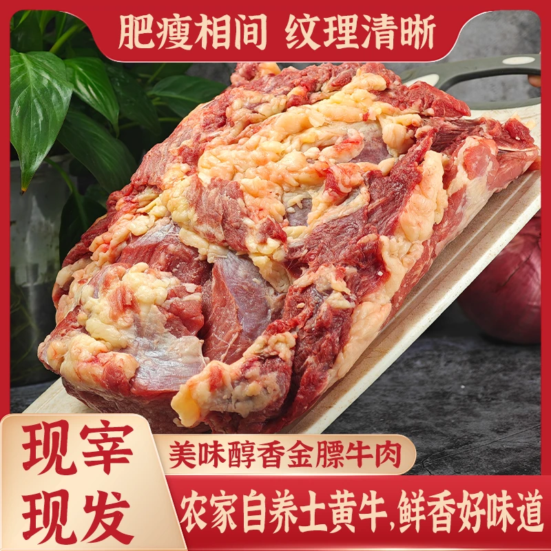 云南曲靖散养土黄牛现杀现发新鲜牛腱子牛胸口牛腩批发 锁鲜到家