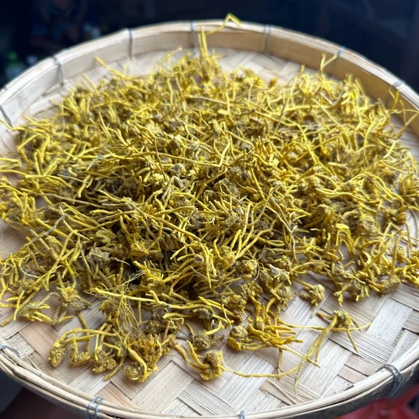 【臻野】现收土特产 龙须石槲 250/500 克----------干货