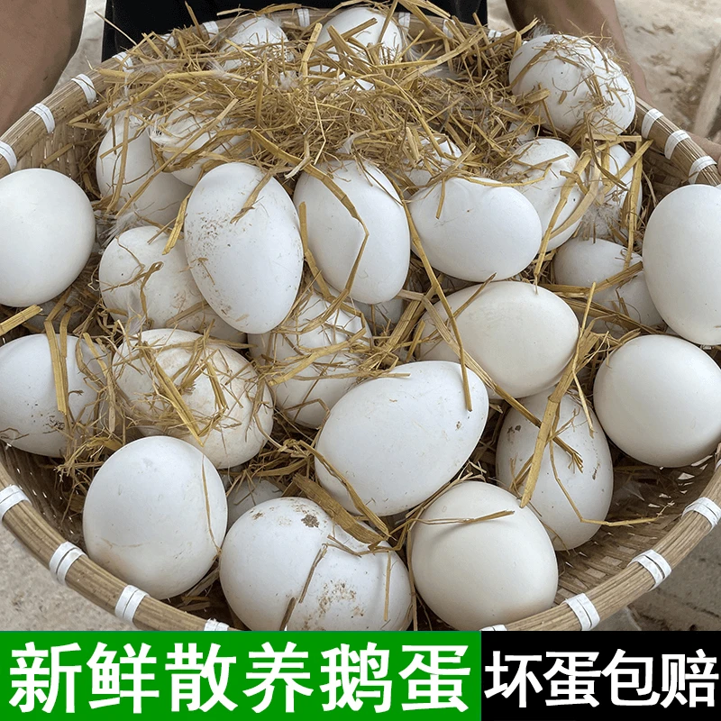 【农场直达】顺丰 保真 新鲜散养鹅蛋单黄蛋12枚